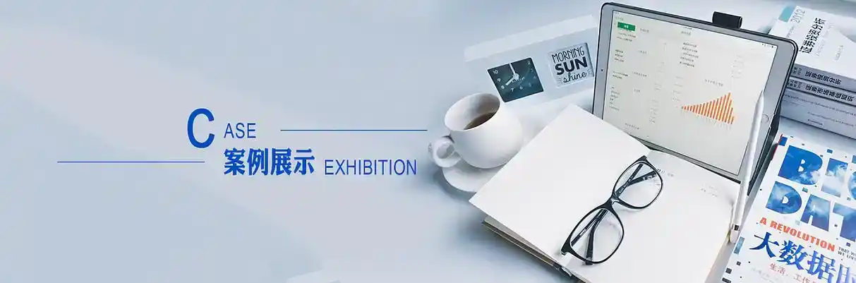 措勤县软件开发